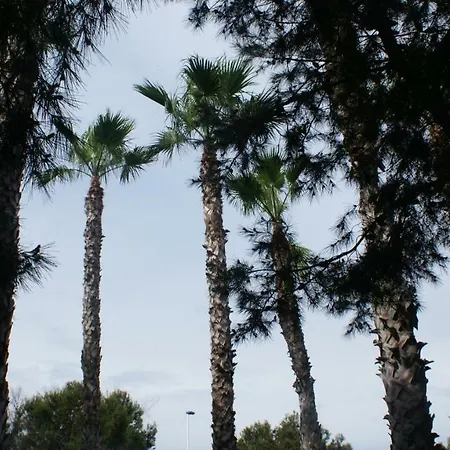 Andre Lux Apartamento Torrevieja